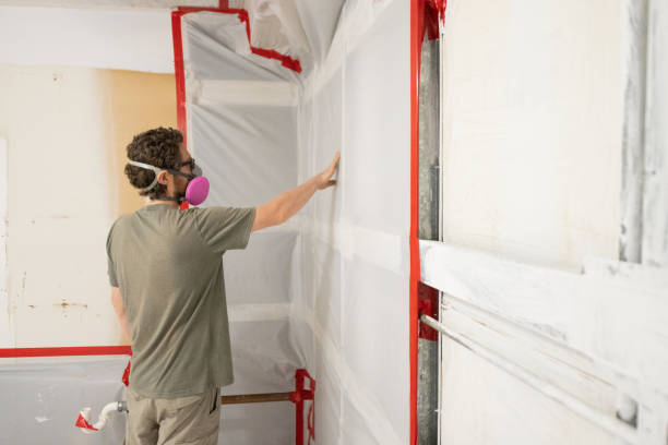 Best Real Estate Mold Inspection  in Faribault, MN