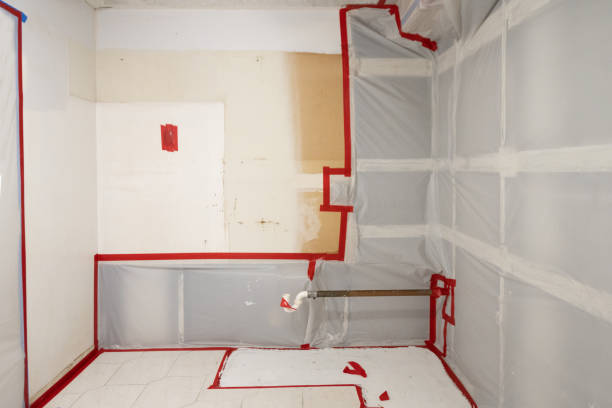 Best Mold Odor Removal Services  in Faribault, MN