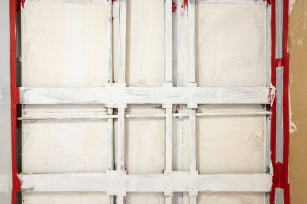 Trusted Faribault, MN Mold Removal Experts