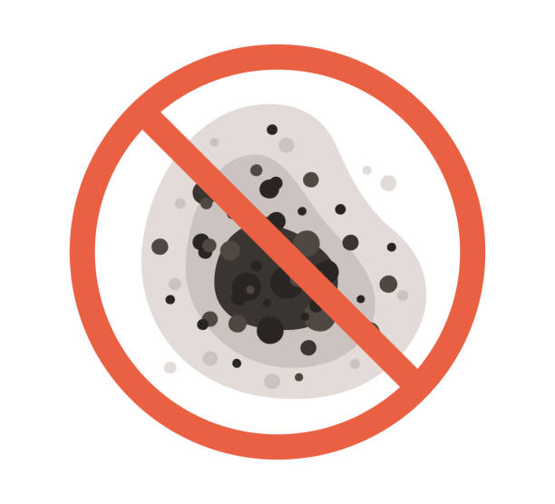 Best Commercial Mold Inspection  in Faribault, MN