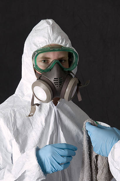 Best Biohazard Mold Removal  in Faribault, MN